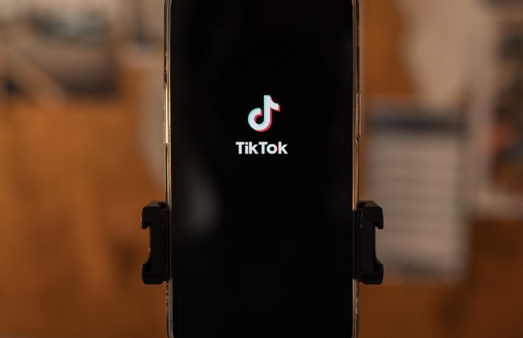 Did You See the TikTok about Macron?